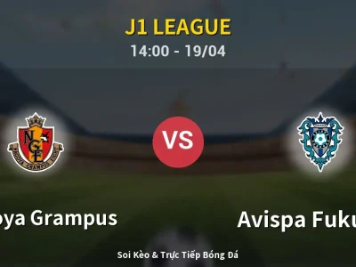 Kết Quả: Nagoya Grampus 2-2 Avispa Fukuoka – Highlight & Bàn Thắng | J1 League